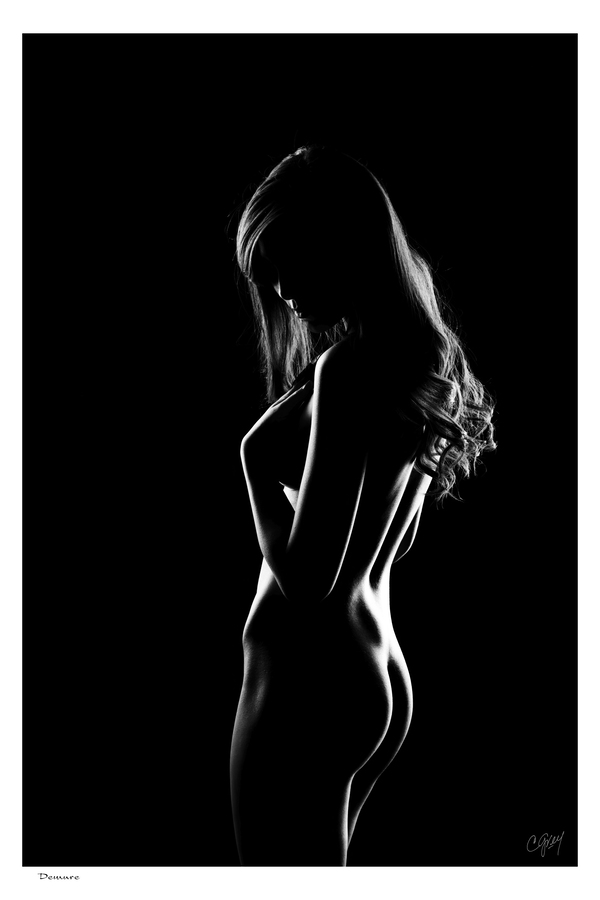 Demure by Sexy Bedroom Art