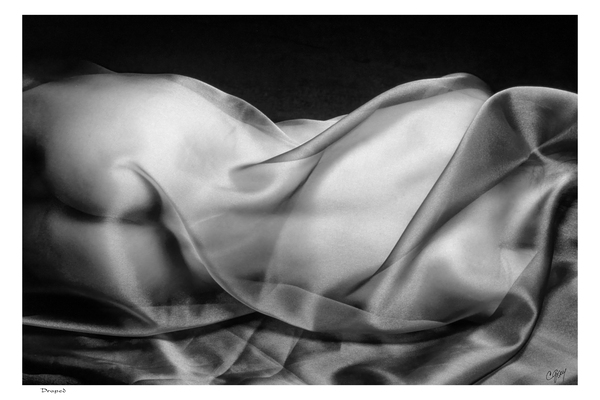 Draped by Sexy Bedroom Art