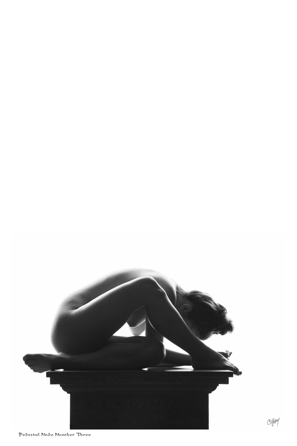Pedestal Nude Number Three by Sexy Bedroom Art