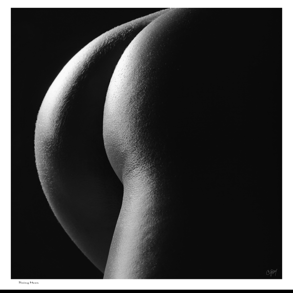 Rising Moon by Sexy Bedroom Art