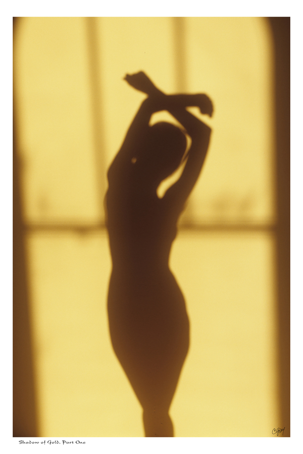 Shadow of Gold part one by Sexy Bedroom Art