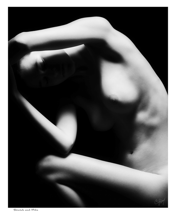 Stretch and Hide by Sexy Bedroom Art