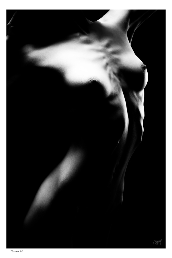 Torso46 Print