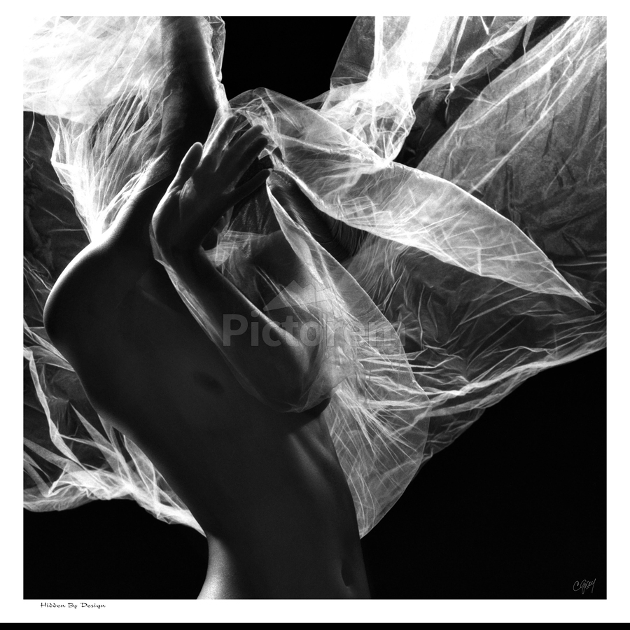 Hidden by Design  Print