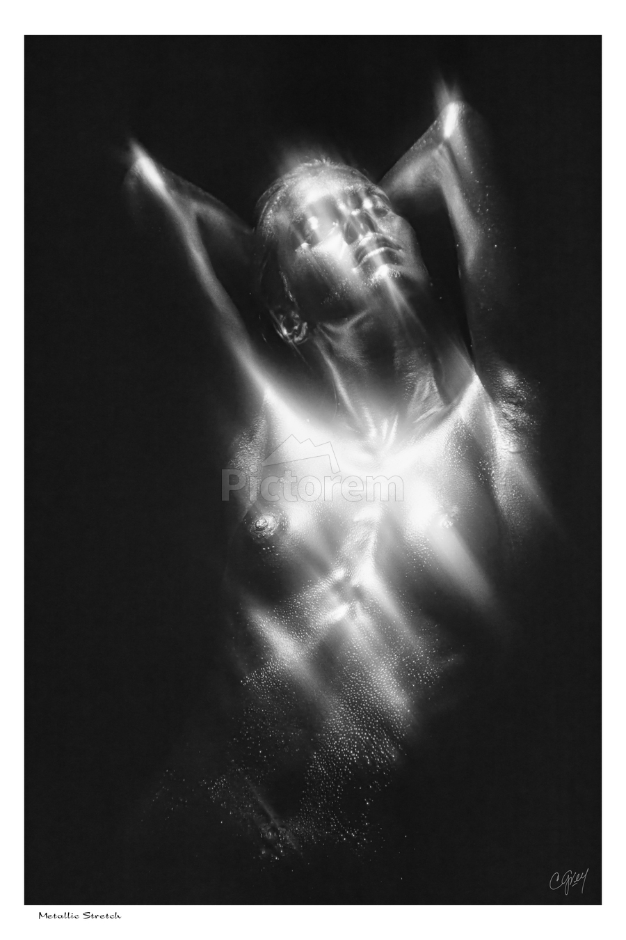 Metallic Stretch  Print