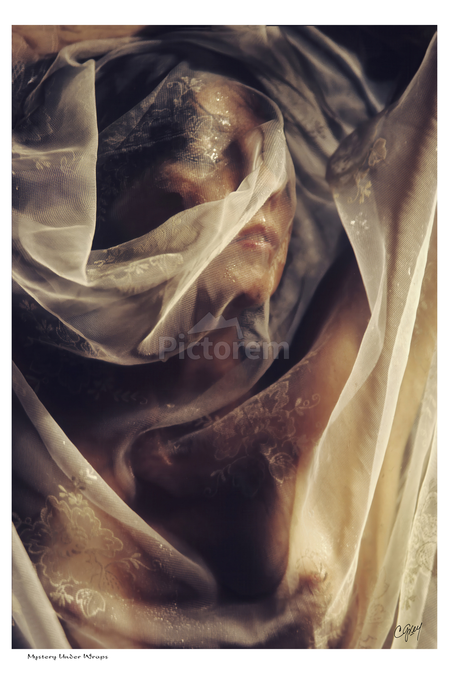 Mystery Under Wraps  Print