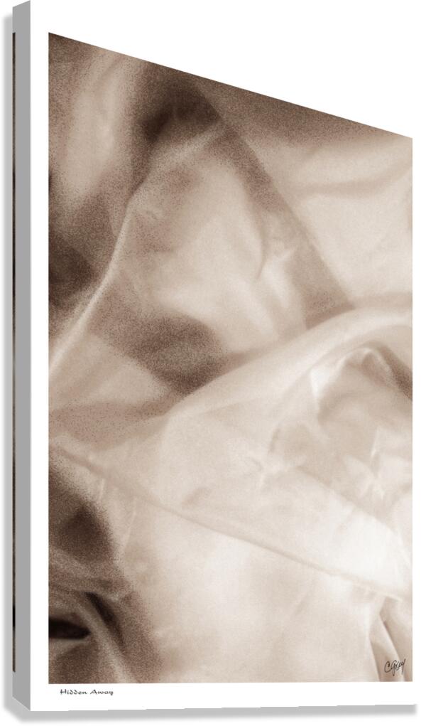 Hidden Away Canvas Print