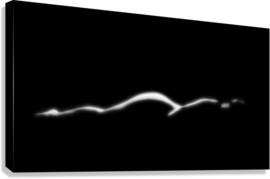 On Her Side Canvas Print