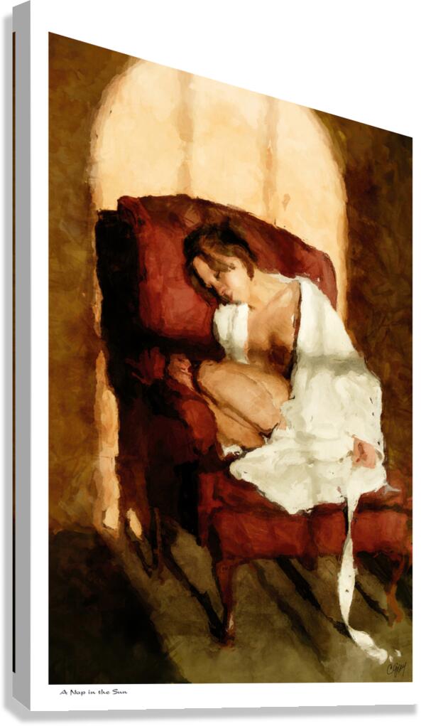A Nap in the Sun Canvas Print