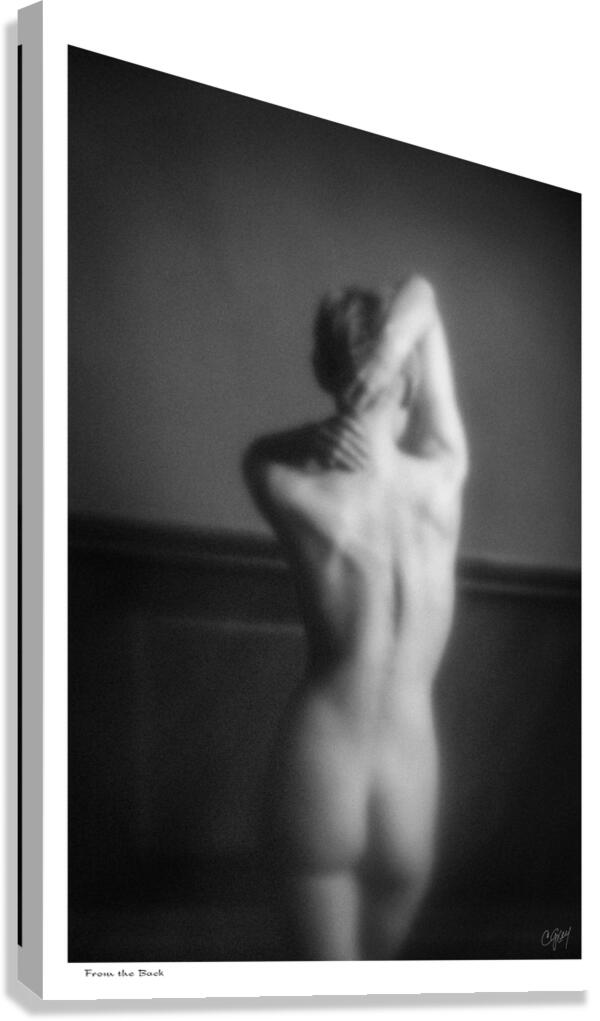 From the Back Canvas Print