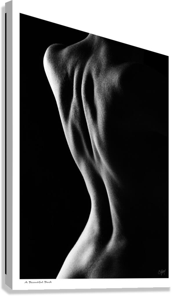 A Beautiful Back Canvas Print