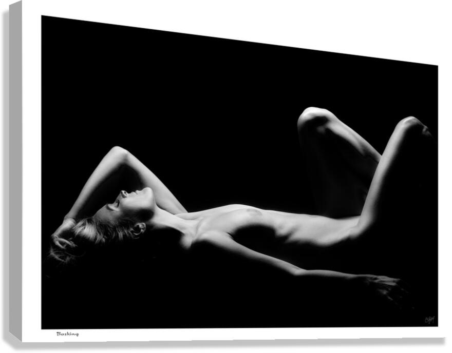 Basking Canvas Print