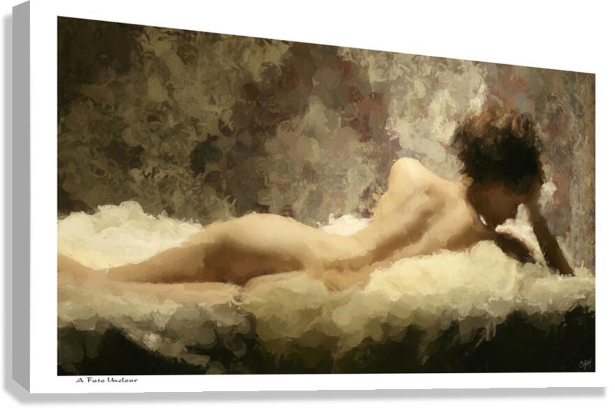 A Fate Unclear Canvas Print