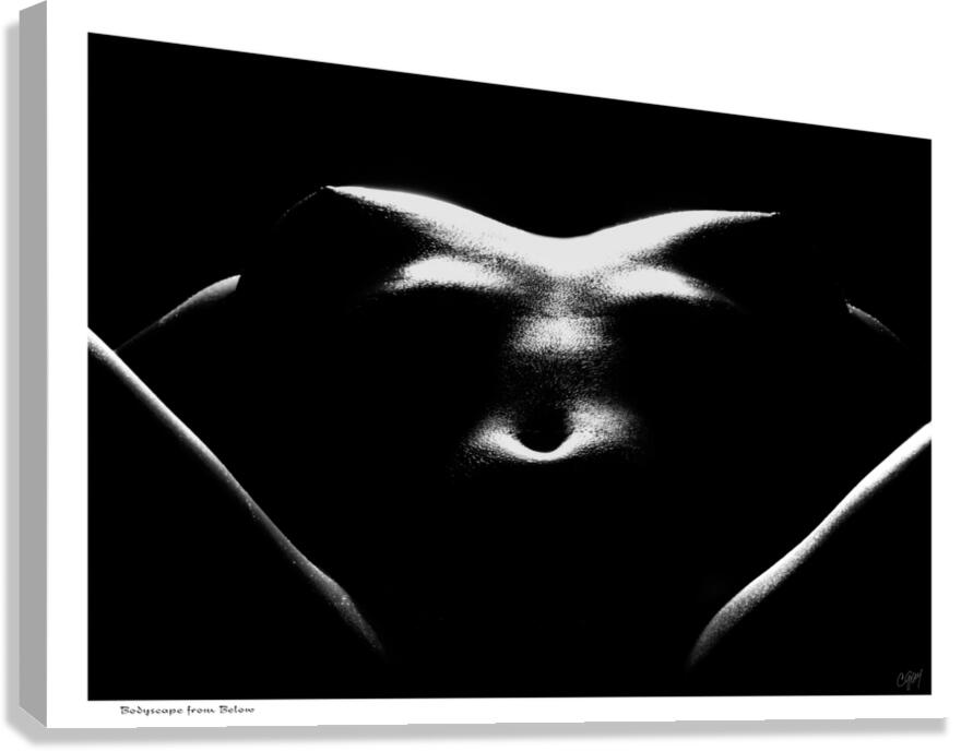 Bodyscape from Below Canvas Print