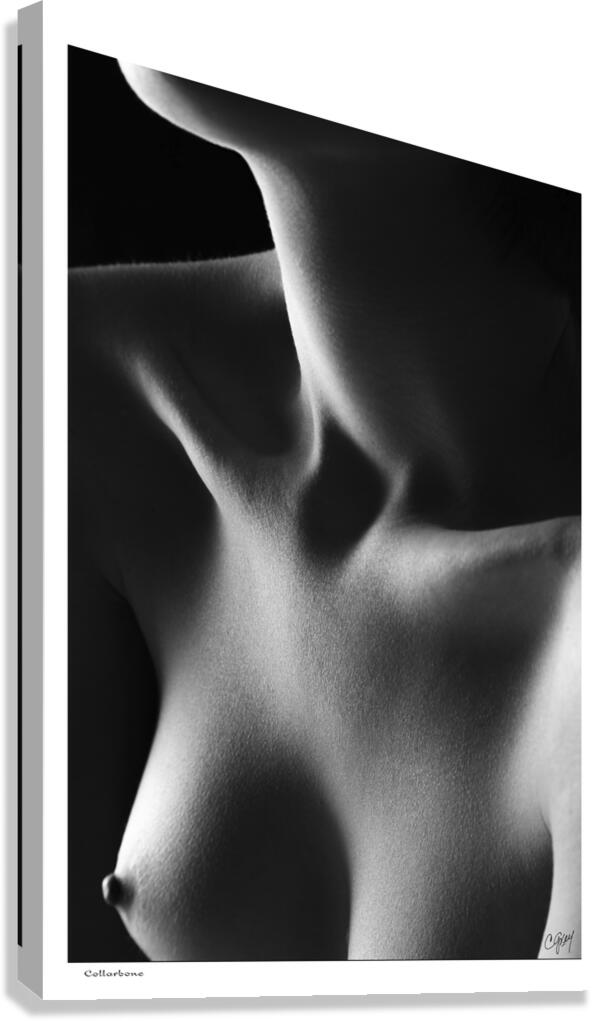 Collarbone Canvas Print