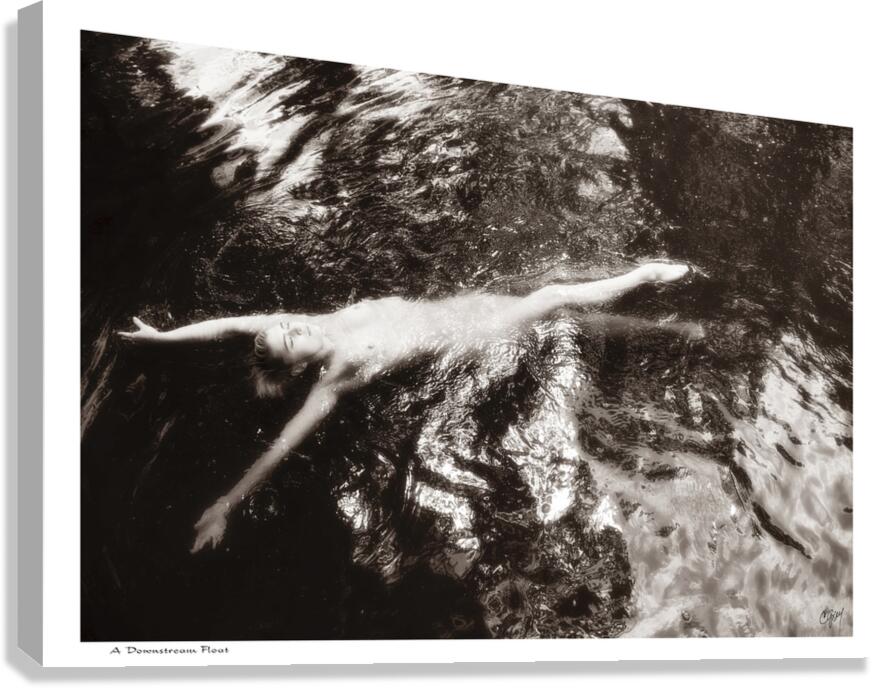 A Downstream Float Canvas Print