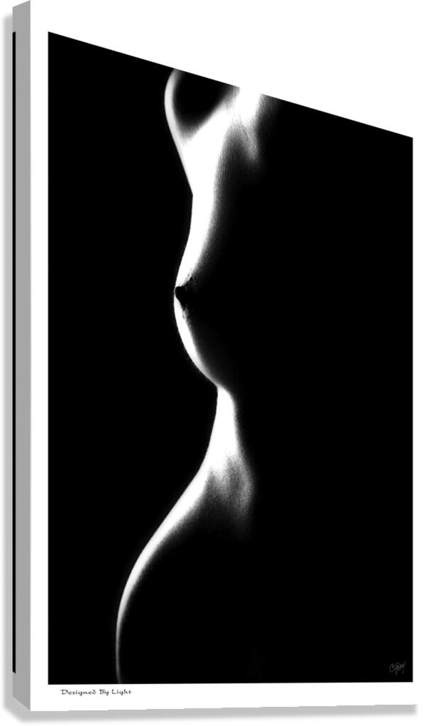 Designed by Light Canvas Print