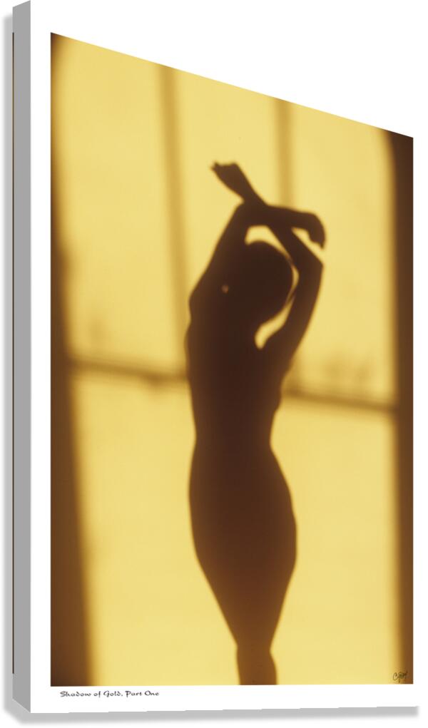 Shadow of Gold part one Canvas Print