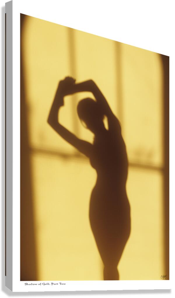 Shadow of Gold part two Canvas Print