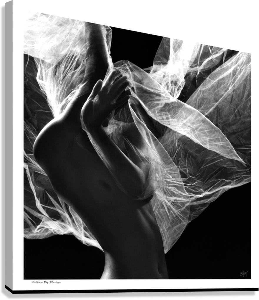 Hidden by Design Canvas Print
