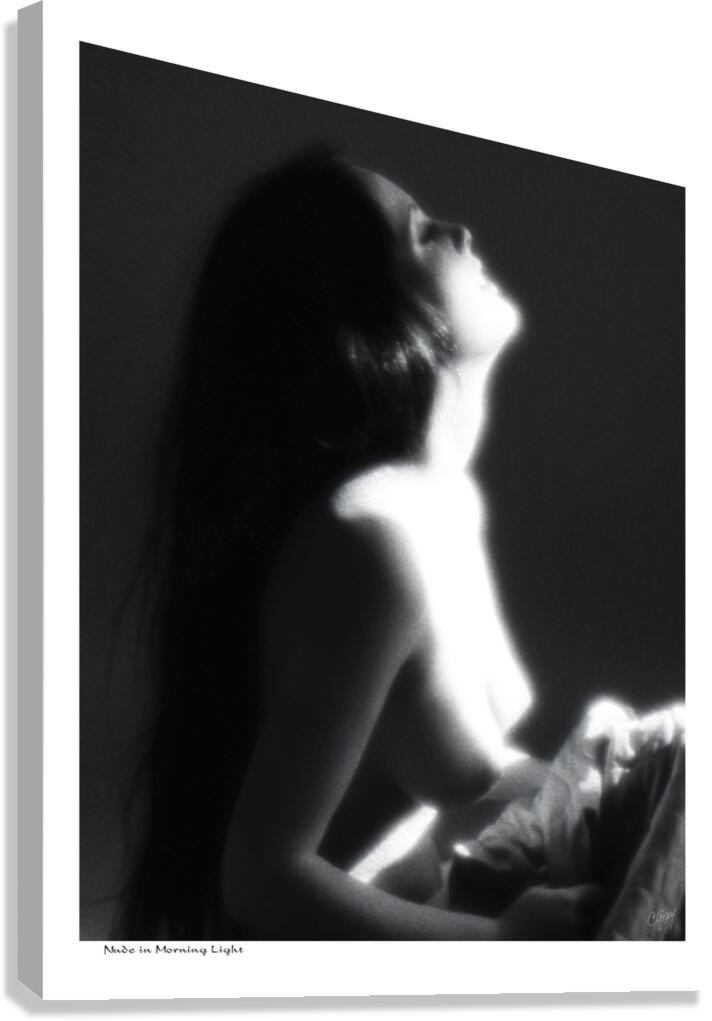 Nude in Morning Light Canvas Print