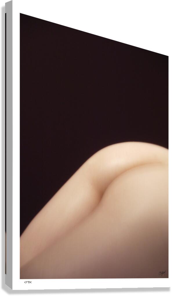 OTK Canvas Print