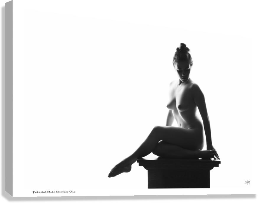 Pedestal Nude Number One Canvas Print