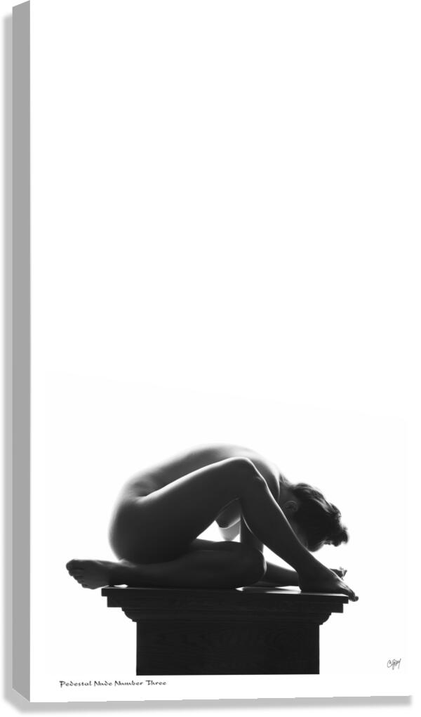 Pedestal Nude Number Three Canvas Print