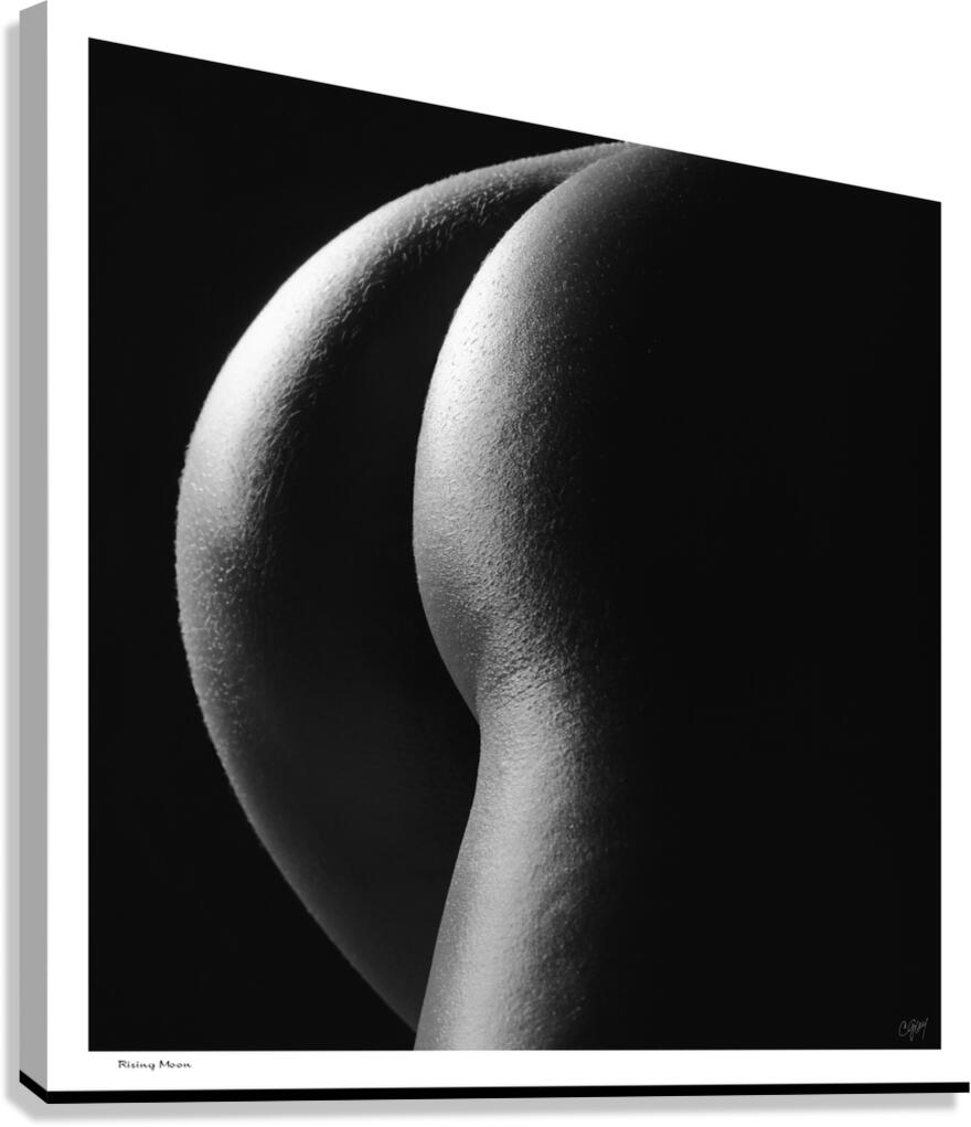 Rising Moon Canvas Print