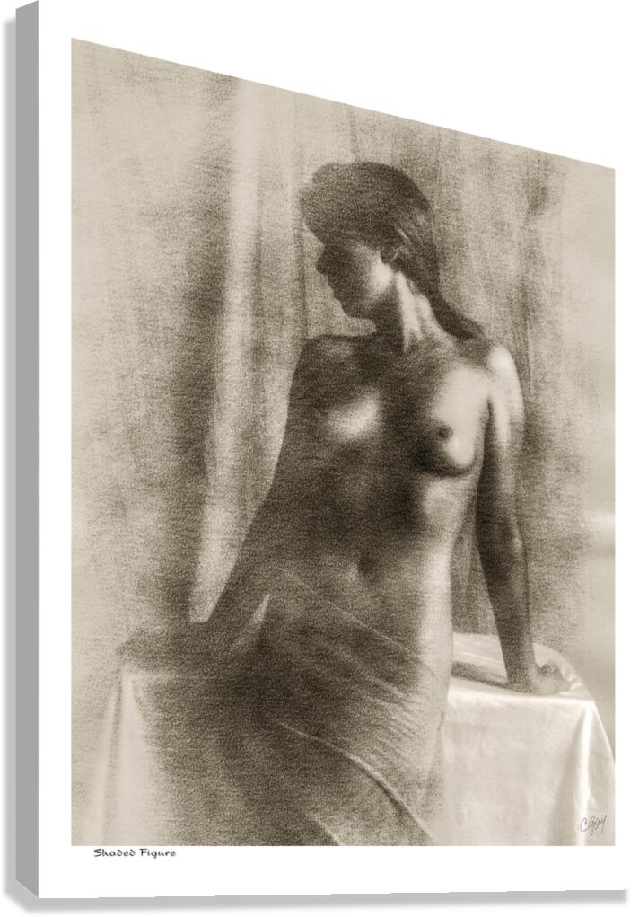 Shaded Figure Canvas Print