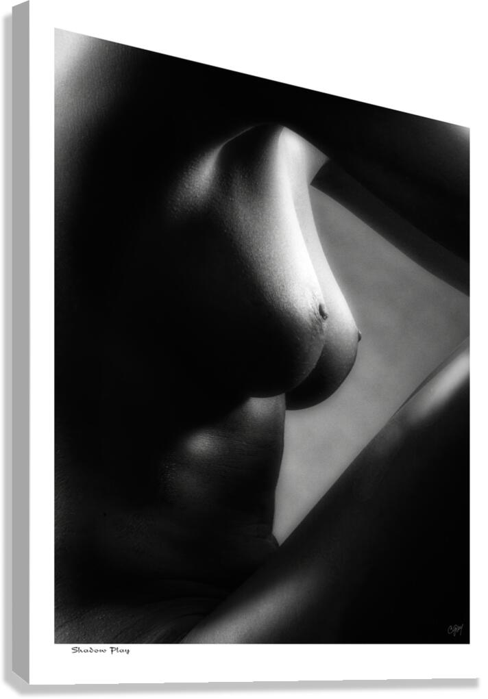 Shadow Play Canvas Print