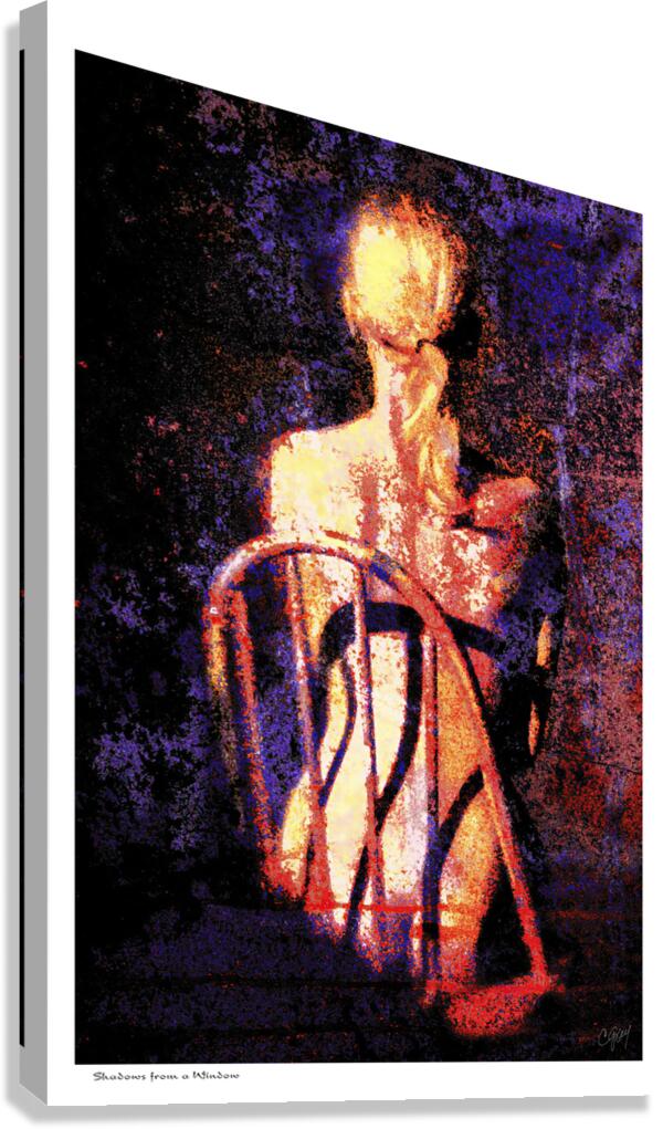 Shadows from a Window Canvas Print