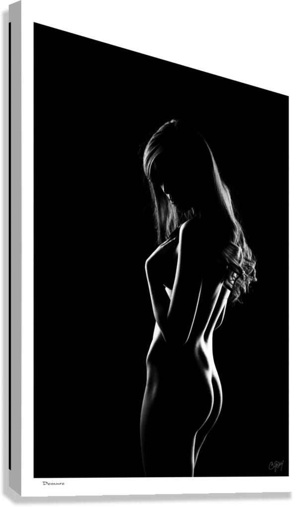 Demure Canvas Print