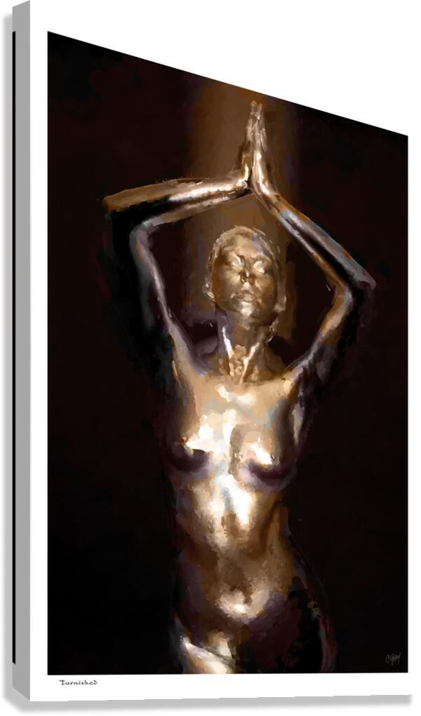 Tarnished Canvas Print