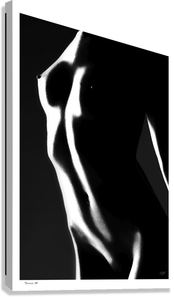 Torso 97 Canvas Print
