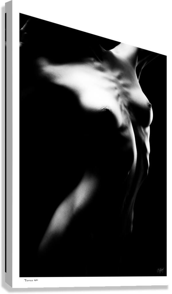 Torso46 Canvas Print