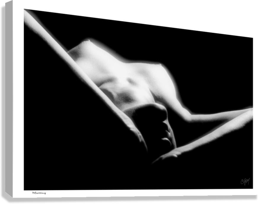 Waiting Canvas Print