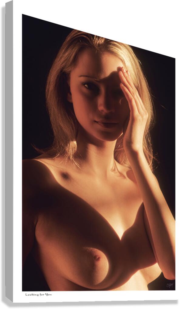 Looking For You Canvas Print