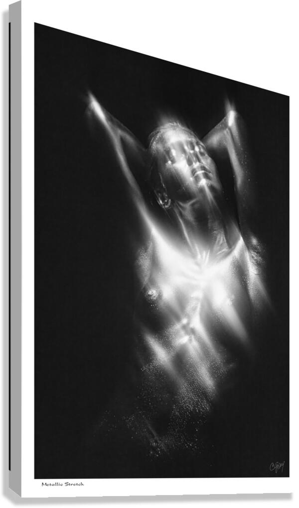 Metallic Stretch Canvas Print