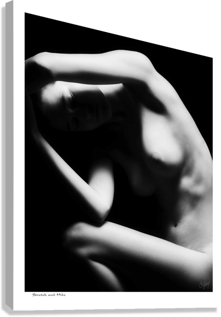 Stretch and Hide Canvas Print