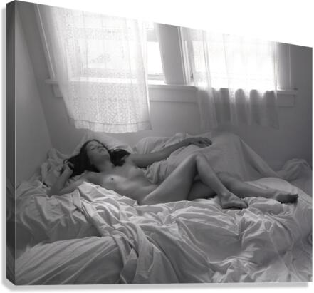 The Breeze such as it was Canvas Print