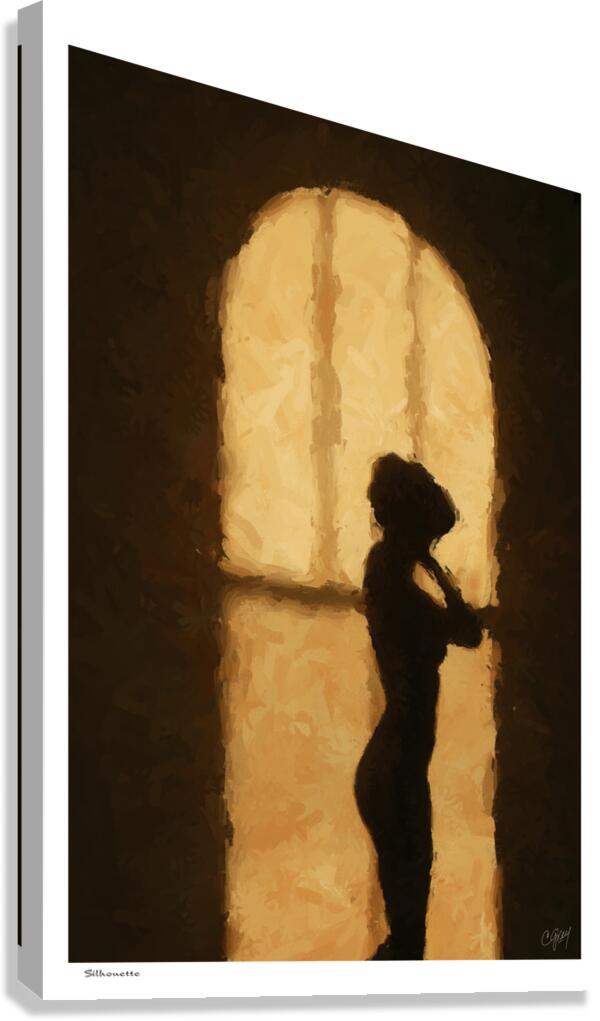 Silhouette Canvas Print