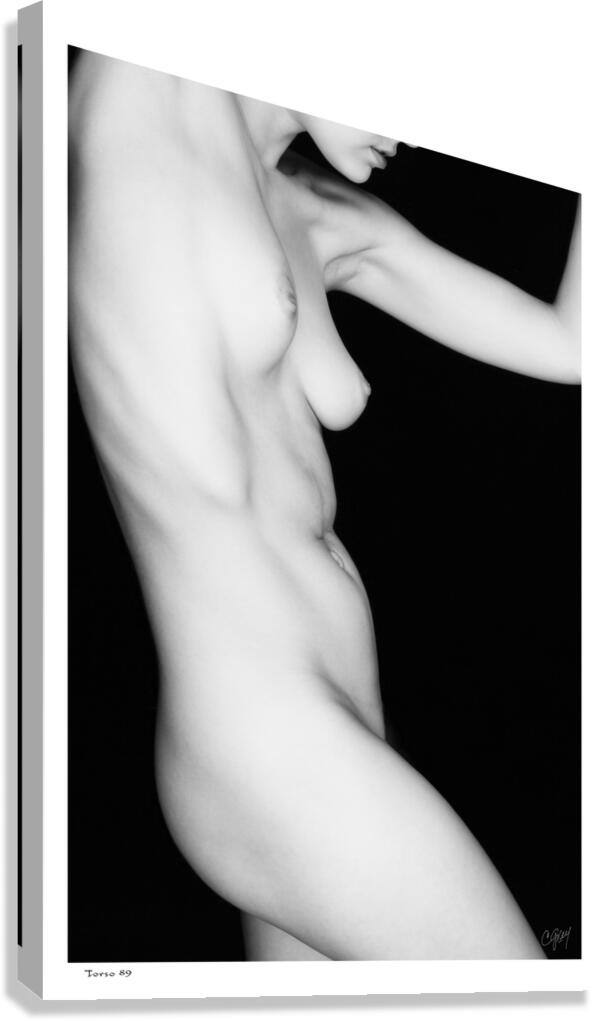 Torso 89 Canvas Print