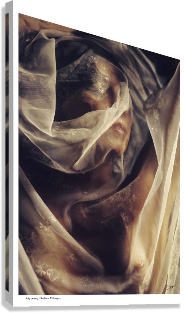 Mystery Under Wraps Canvas Print
