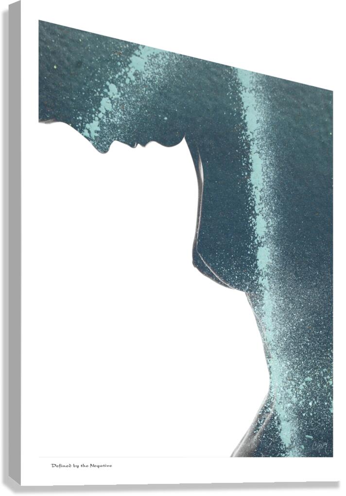 Defined by the Negative Canvas Print