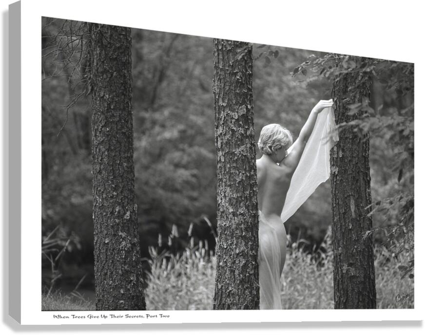 When Trees Give Up Their Secrets Pt. 2 Canvas Print