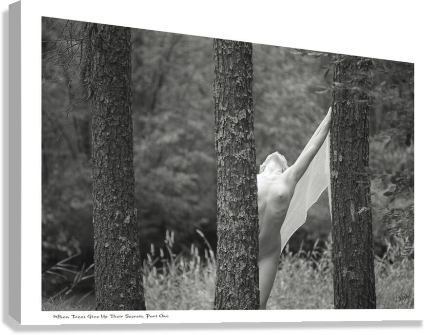 When Trees Give Up Their Secrets Pt. 1 Canvas Print