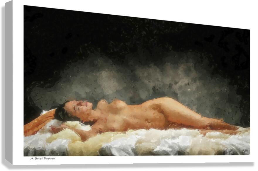 A Brief Repose Canvas Print