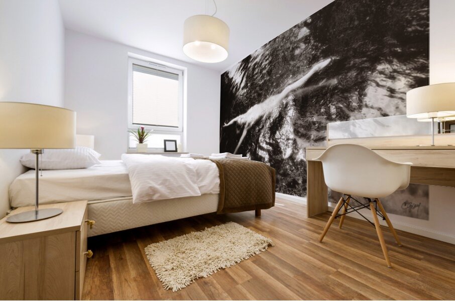 A Downstream Float Mural print