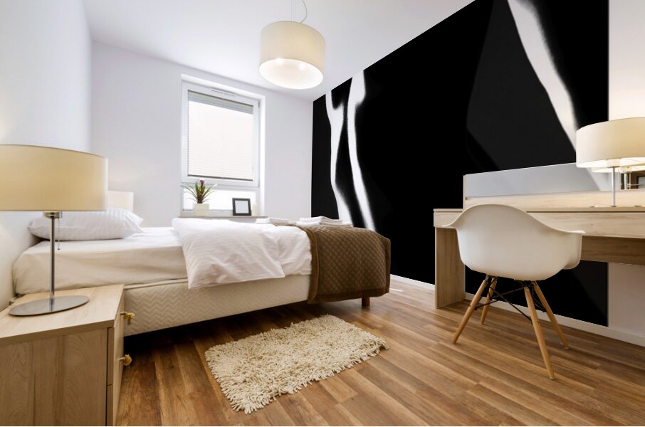 Torso 97 Mural print